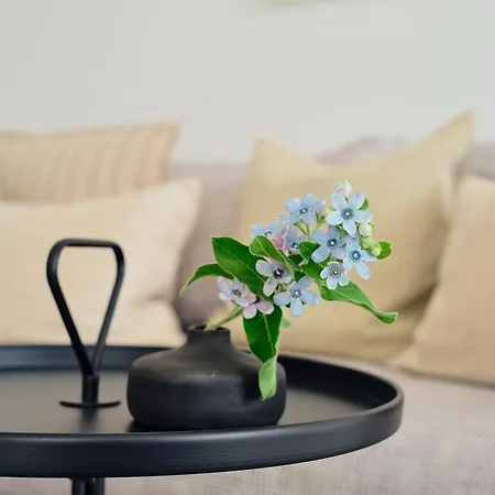 Apartment C11 