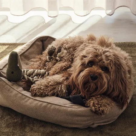 Maisonette-apartment C11 