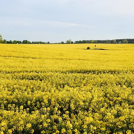 Maisonette-apartment C11 